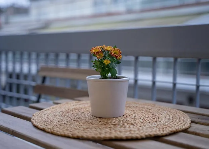 Apartamento 1bd - Deer Traveler