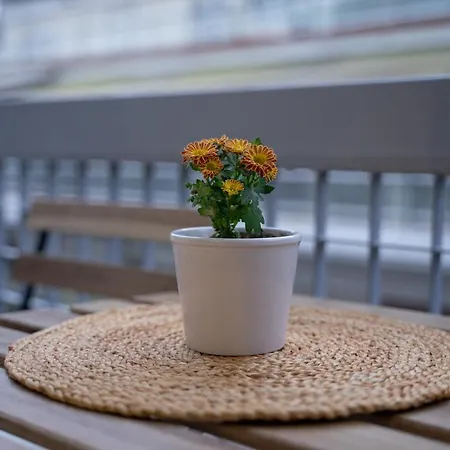 Lejlighed 1bd - Deer Traveler